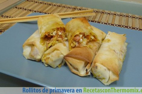 Rollitos de primavera Thermomix