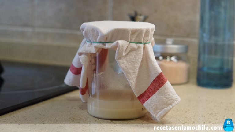 Masa madre para pizza