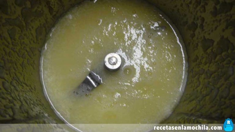 Receta de sopa de melón con Thermomix